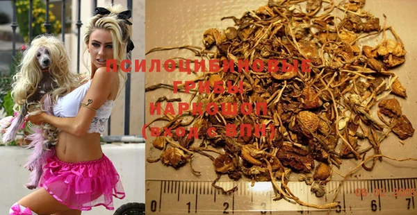 MDMA Premium VHQ Бронницы