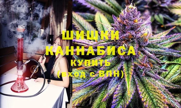 гашик Богданович