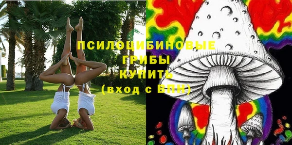 MDMA Premium VHQ Бронницы