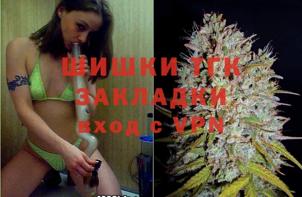 spice Верея